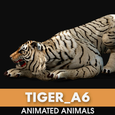 Tiger A6 Animated
