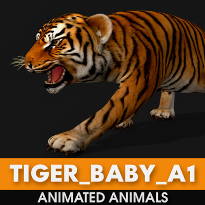 Tiger Baby A1