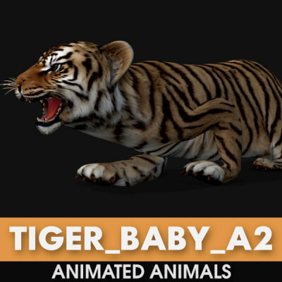 Tiger Baby A2