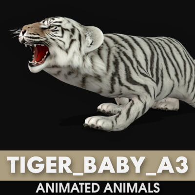 Tiger Baby A3