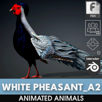 White Pheasant-A2