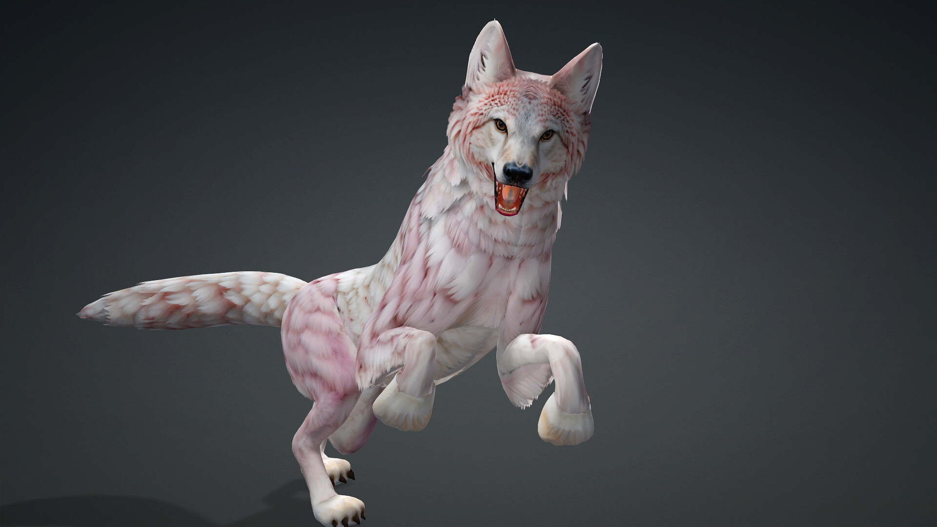 Wolf A3 Animated 3d Animation By Animated3d