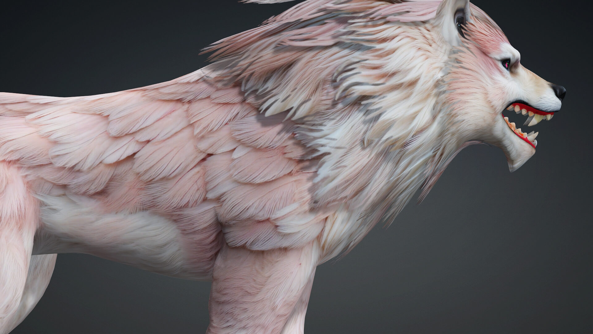 Wolf-B1-Animated 3D Animation by Animated3d