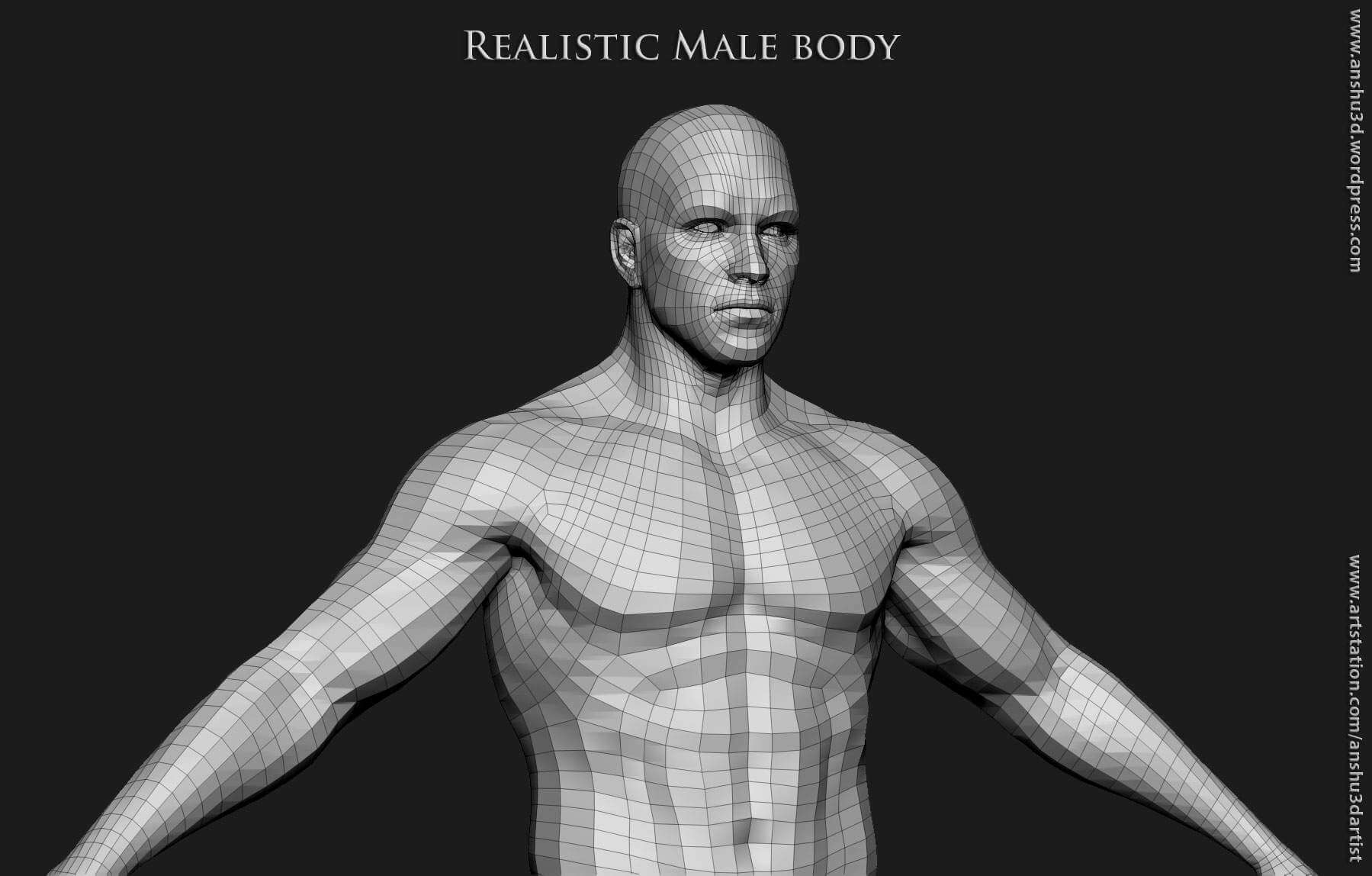 Realistic Human Male Body 3D Model by anshu3dartist