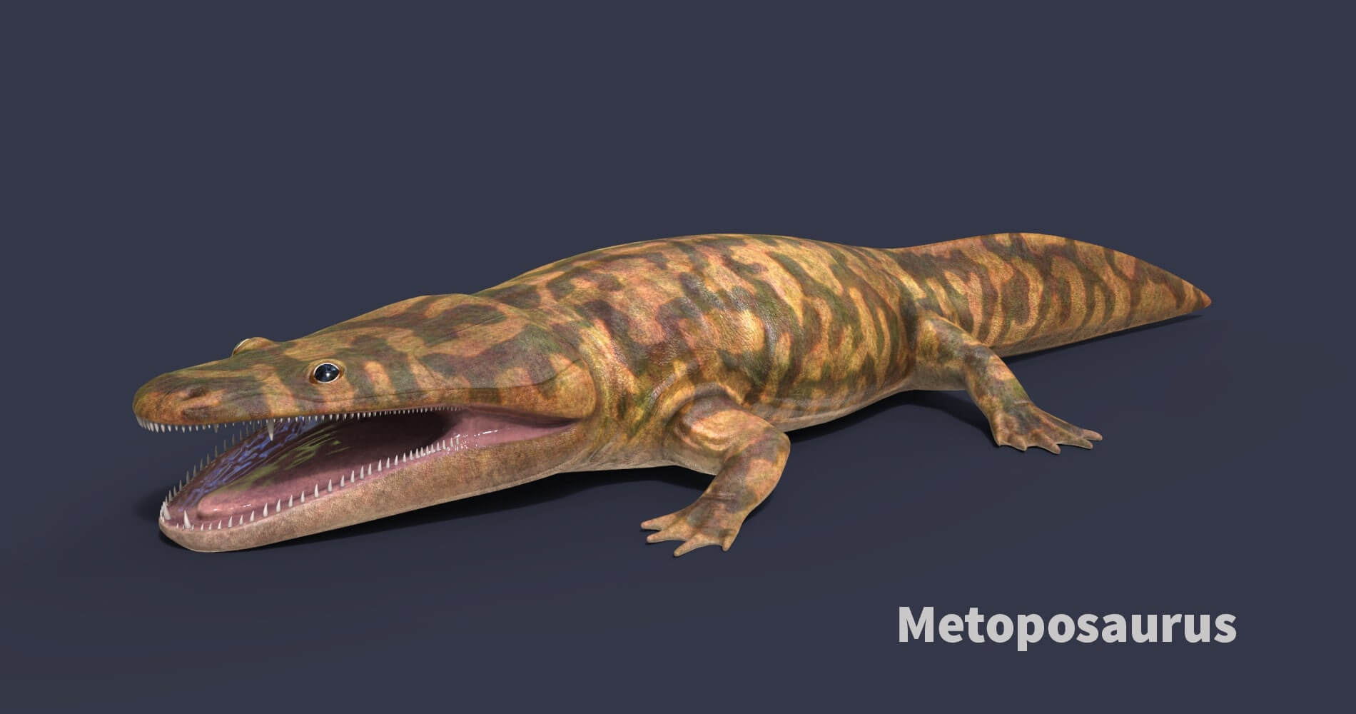 Extinct Animals Pack Version 18 - 3D Model by Anthodon