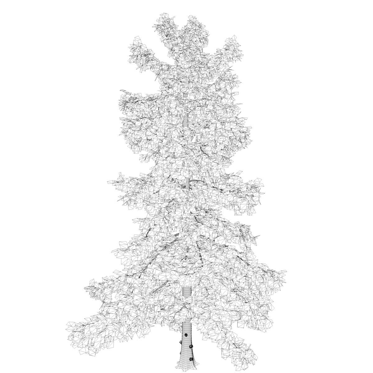 Alaska Cedar Tree #03 - 3D Model by AntonioKowatsch