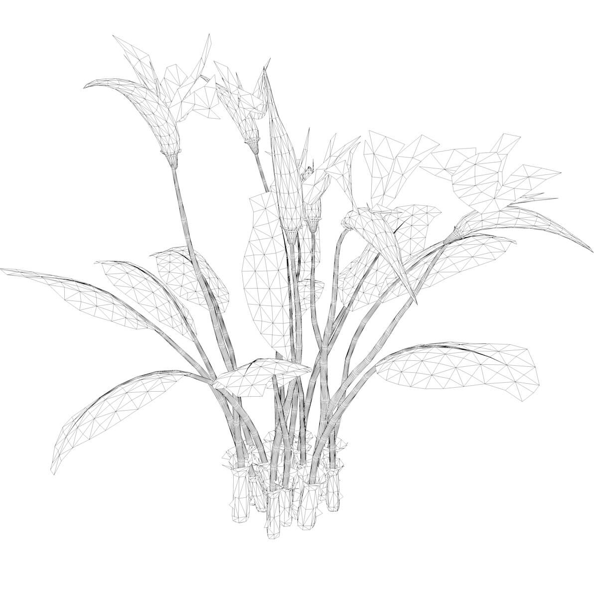 Bird of Paradise Flower Collection by AntonioKowatsch