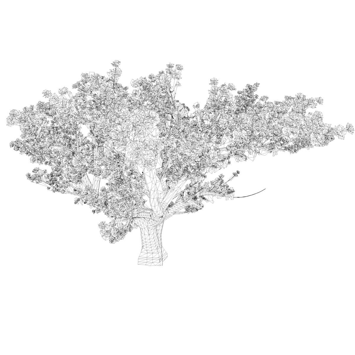 Cedar of Lebanon Tree 09 3D Model by AntonioKowatsch