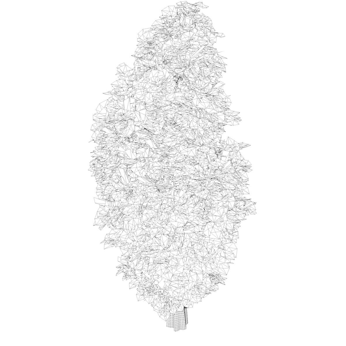 Eastern Red Cedar Tree Collection by AntonioKowatsch