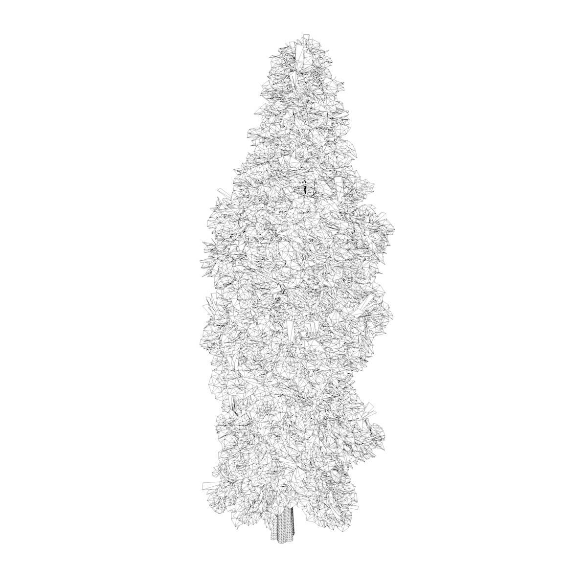 Eastern Red Cedar Tree Collection by AntonioKowatsch