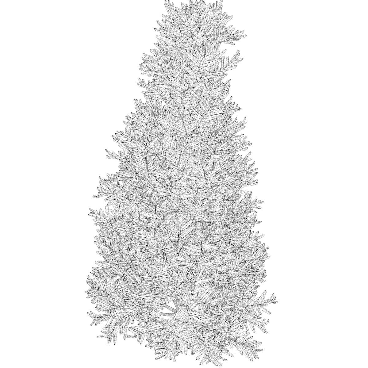 Fraser Fir Tree Collection by AntonioKowatsch