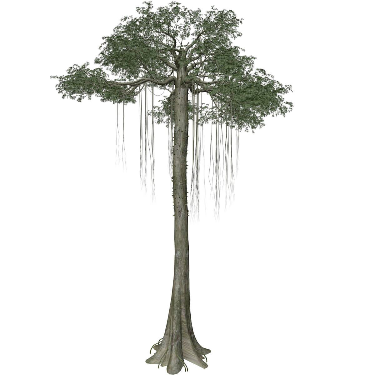 Kapok Tree 03 3D Model by AntonioKowatsch