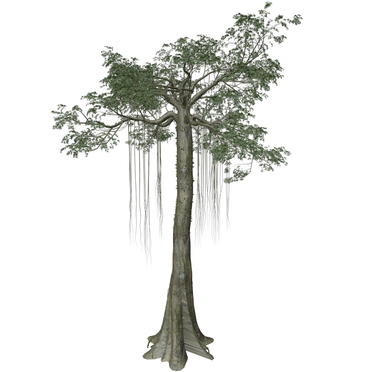 Kapok Tree 06 3D Model by AntonioKowatsch