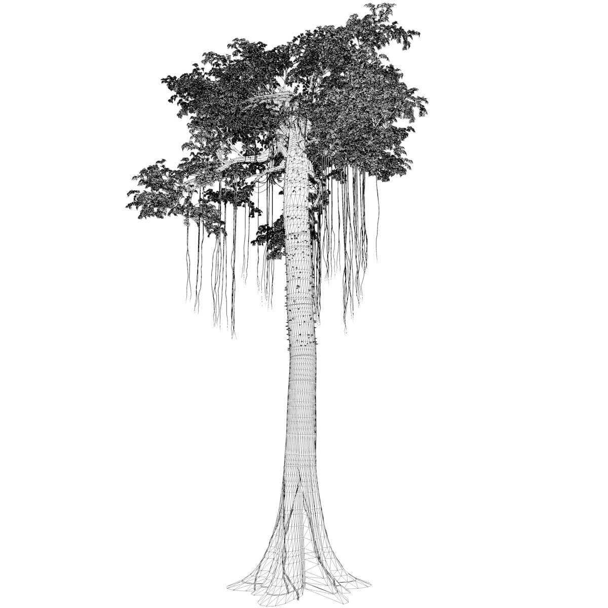 Kapok Tree Collection by AntonioKowatsch