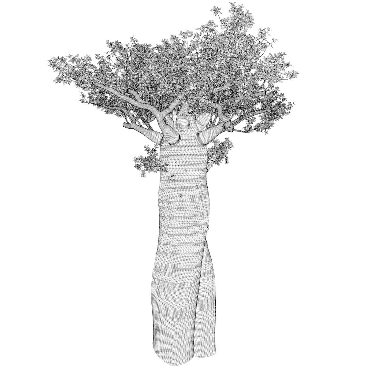 Madagascan Baobab Tree #01 - 3D Model by AntonioKowatsch