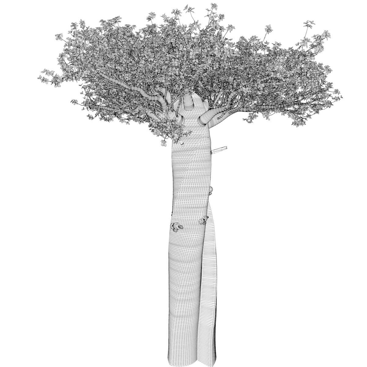 Madagascan Baobab Tree #03 - 3D Model by AntonioKowatsch