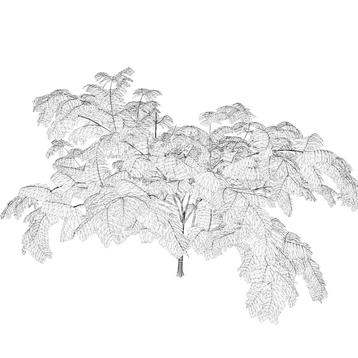 Mimosa Tree 10 3D Model by AntonioKowatsch