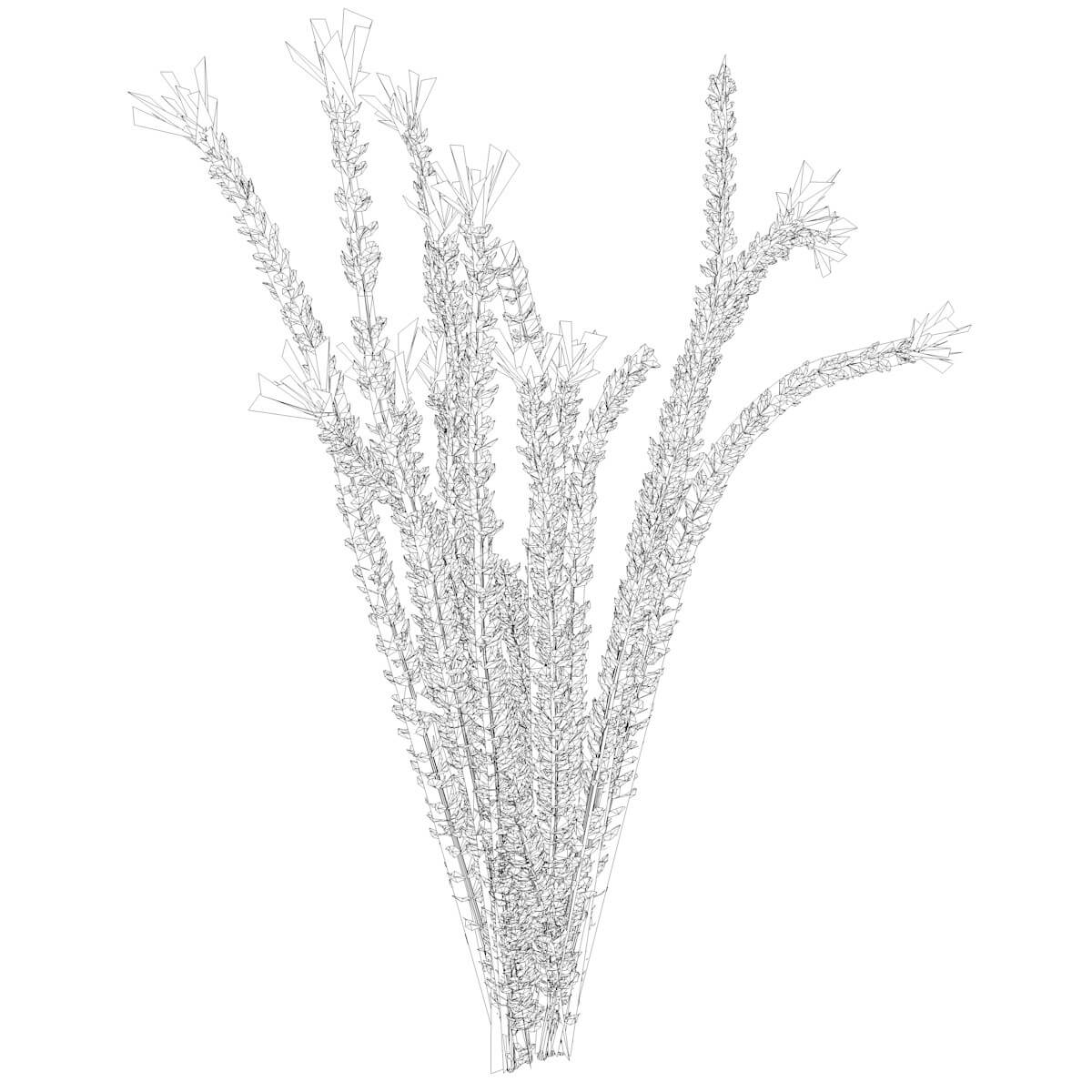 Ocotillo Plant 09 3D Model by AntonioKowatsch