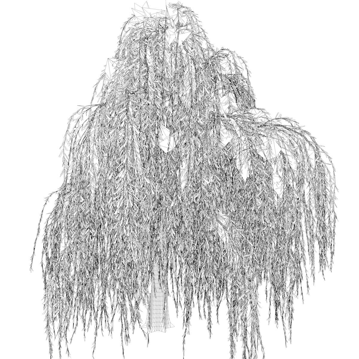 Weeping Willow Tree 03 3D Model by AntonioKowatsch