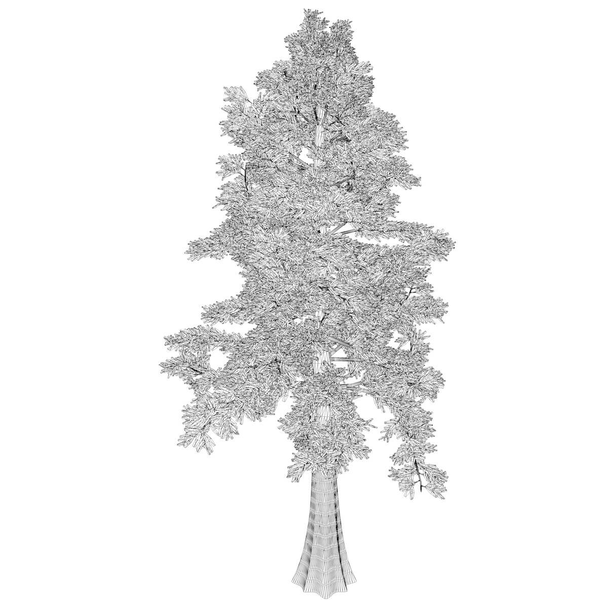Western Red Cedar Tree #02 - 3D Model by AntonioKowatsch