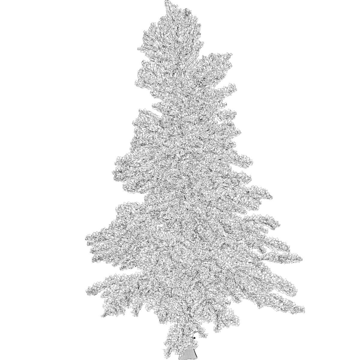 White Fir Tree Collection 3D Model by AntonioKowatsch