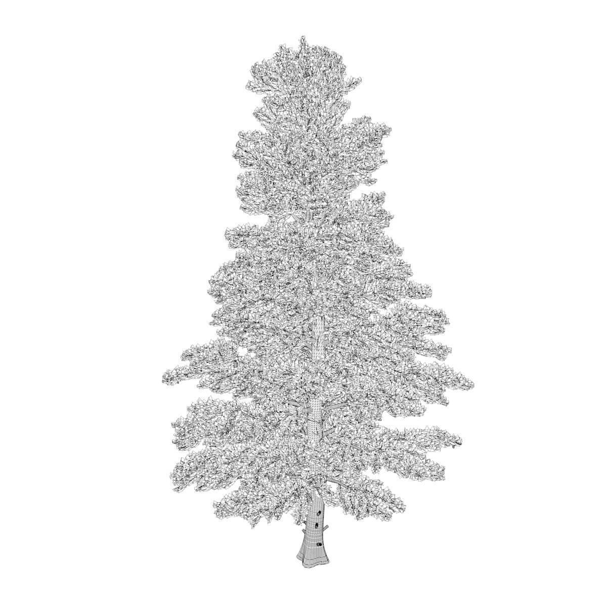 White Fir Tree Collection 3D Model by AntonioKowatsch