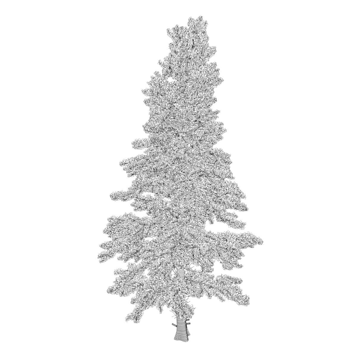 White Fir Tree Collection by AntonioKowatsch