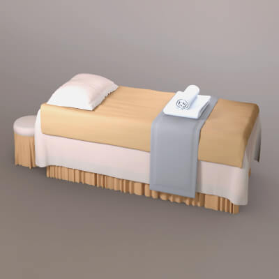 AQ3D Master Spa Bed