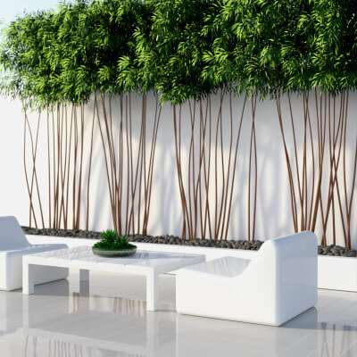 A3S Trees Wall