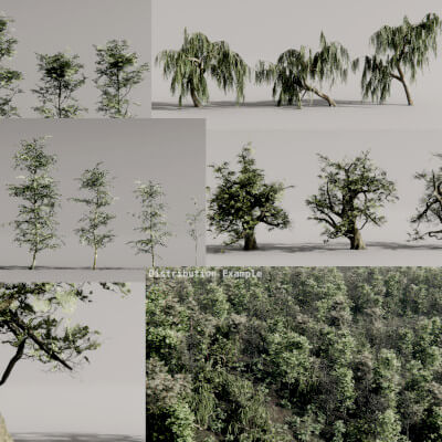 Realistic Trees - Asset Mega Pack