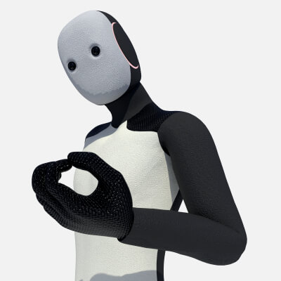 Humanoid Robot