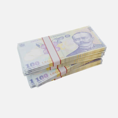 100 Romanian Leu Ron - 3D Model by Arupsaha