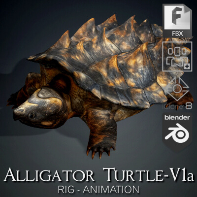 Alligator Turtle-V1a