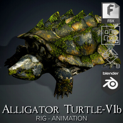 Alligator Turtle-V1b by Asset_Animated