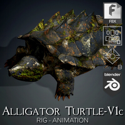 Alligator Turtle-V1c