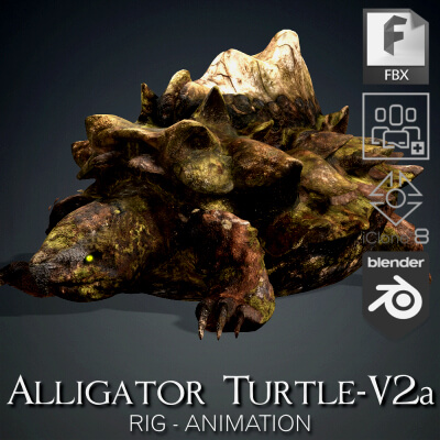 Alligator Turtle-V2a