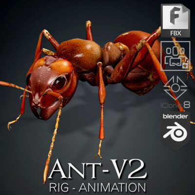 ANT-V2-Animation by Asset_Animated