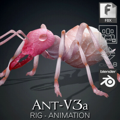 Ant-V3a-Animation