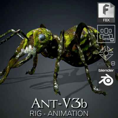 Ant-V3b-Animation