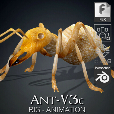 Ant-V3c-Animation