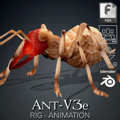 Ant-V3e-Animation