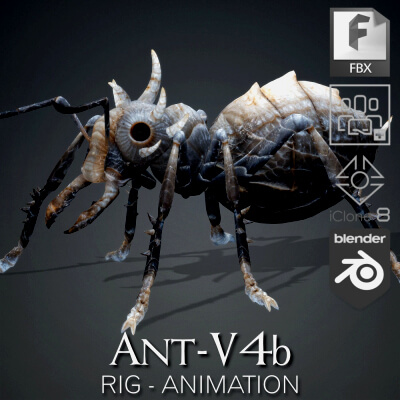 Ant-V4b-Animation