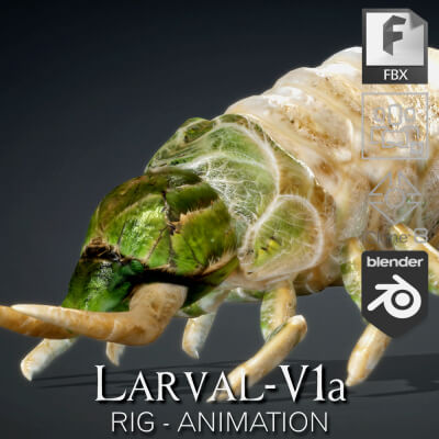 Larval-V1a-Animation