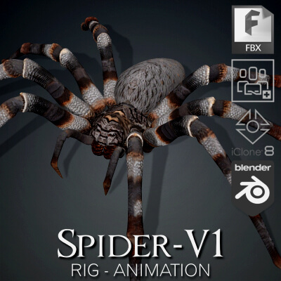 Spider-V1-Animation by Asset_Animated