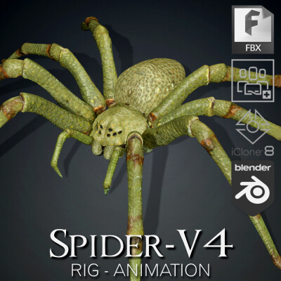 Spider-V4-Animation