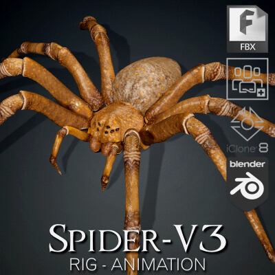 Spider-V3-Animation by Asset_Animated