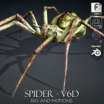 Spider-V6d-Animated
