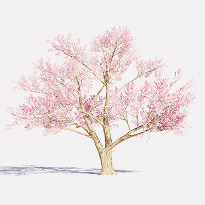 Tree Rendering Pink 4 Pink Tree Low-poly 3D Model by avijeet388