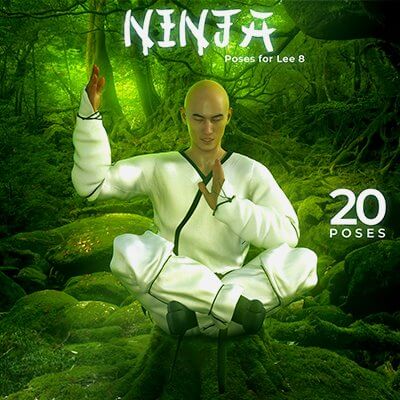 Ninja Poses For Lee 8