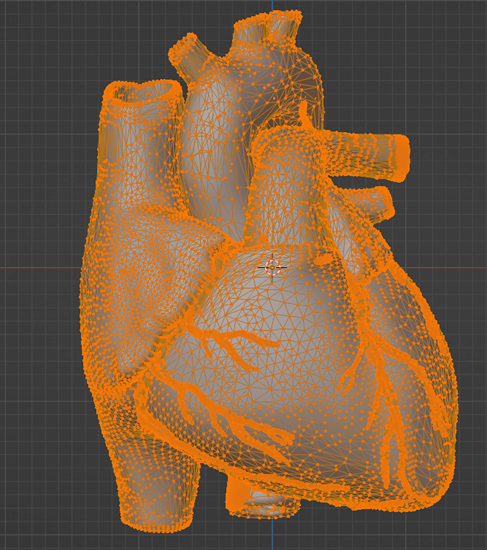 3D Heart Anatomy With Codominance by azekapeka
